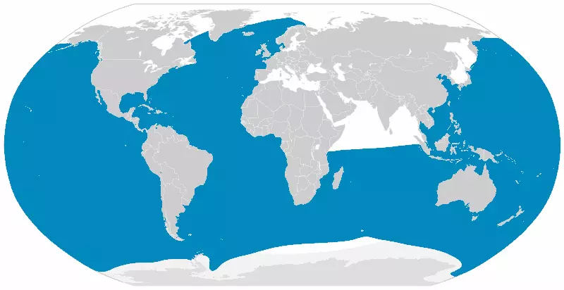 Sei-Whale-Balaenoptera-borealis-Map-Distribution-Occurence