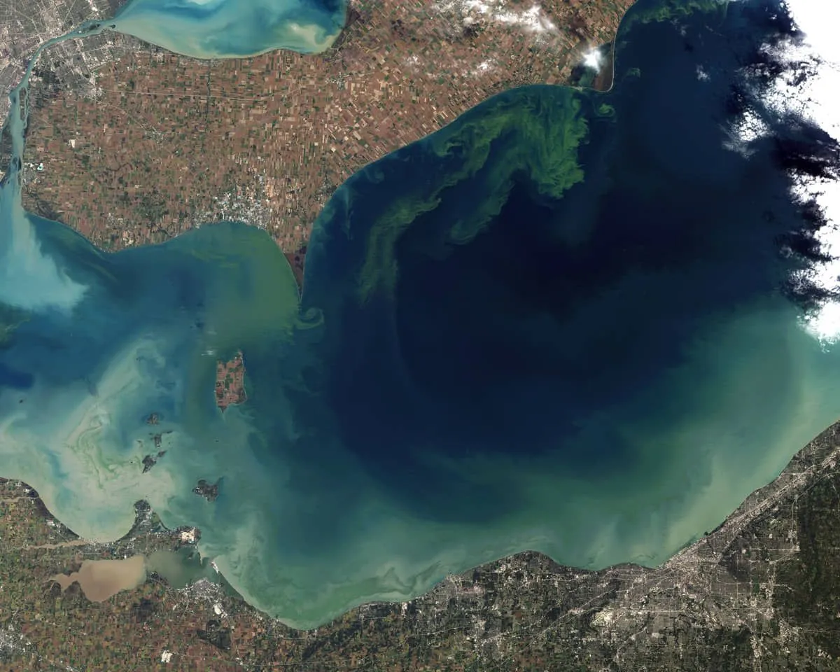 Toxic Algae Bloom_ n Lake Erie