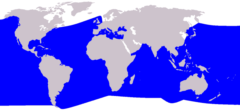 Cuviers-Beaked-Whale-Ziphius-cavirostris-Map-Distribution