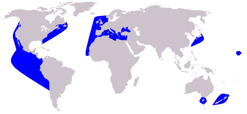 Short-Beaked-Common-Dolphin-Delphinus-delphis-Distribution-Map-occurence