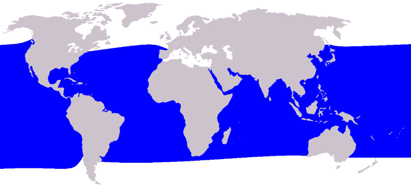 Short-Finned-Pilot-Whale-Globicephala-macrorhynchus-Map-Distribution